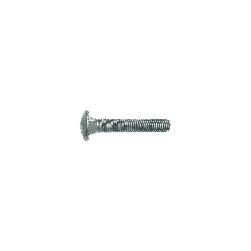 Carriage Bolts - HDG