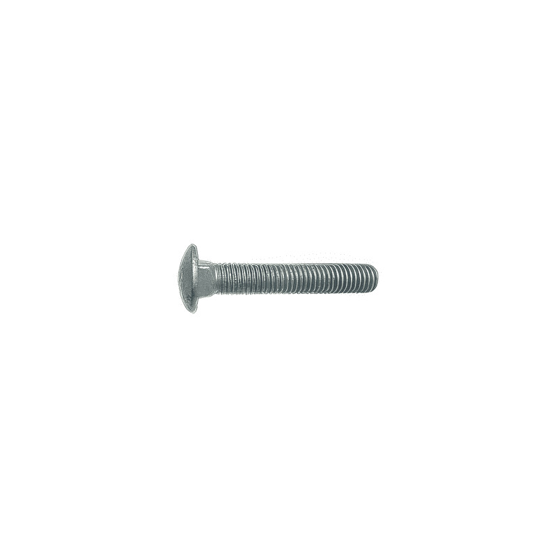 Carriage Bolts