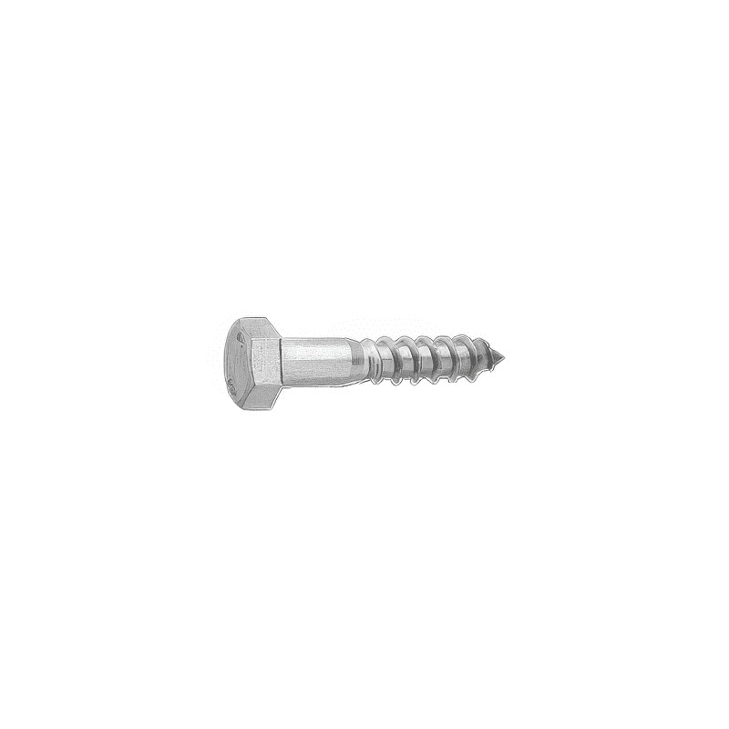 18-8 Stainless Steel Hex Head Lag Bolts