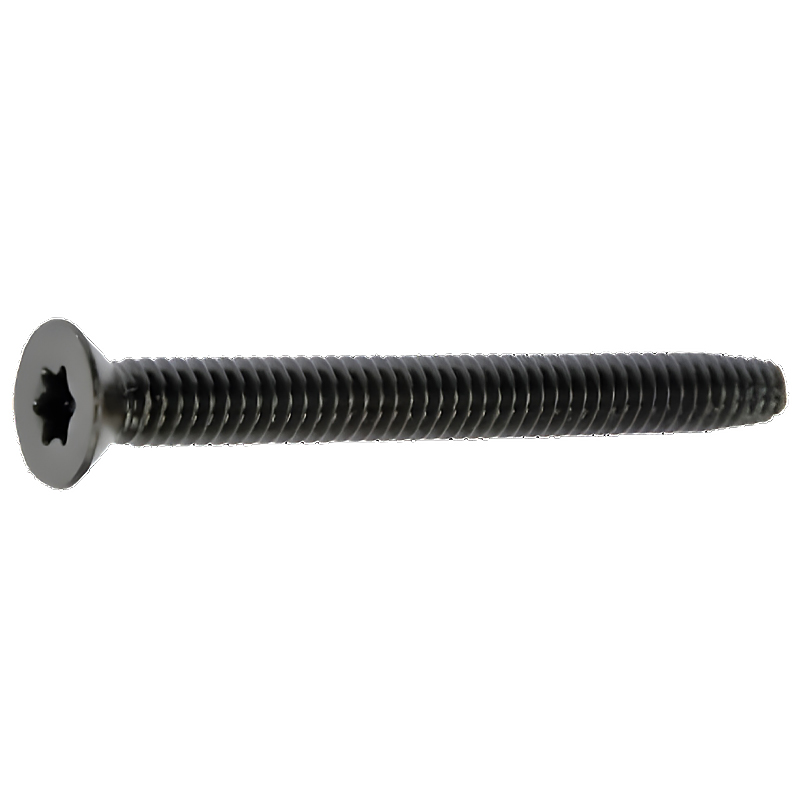 Floorboard Torx Screws