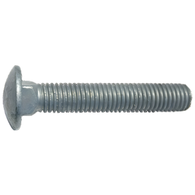 Carriage Bolts