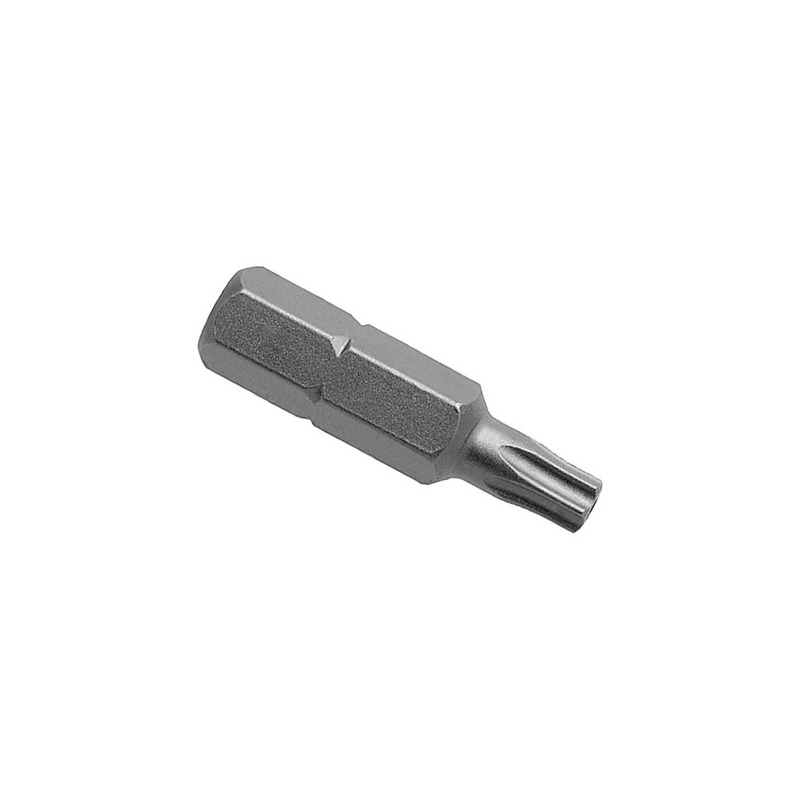 Torx Insert Bit